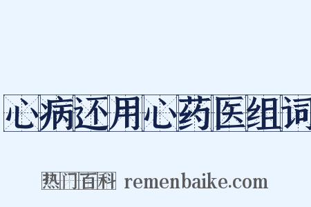 心病还用心药医组词是什么意思的图片